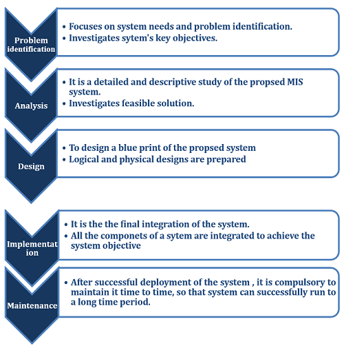 Empower Informed Decisions: Make Data-Driven Strategies with Tech Bay's MIS Solutions